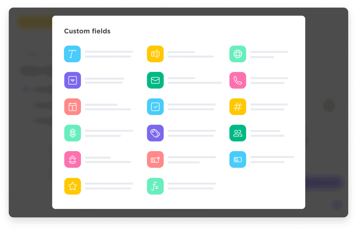 Custom Fields